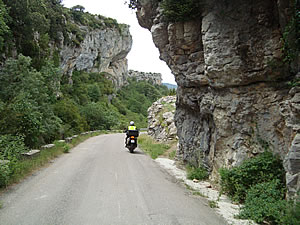 Pyrenaeen