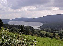 Herbst-Tour 2014 Ab in den Schwarzwald