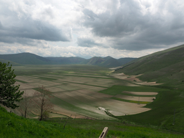 p5230398.jpg