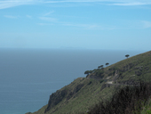 p5250541.jpg