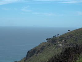 p5250541.jpg