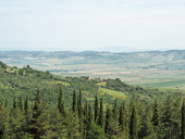 p5260566.jpg
