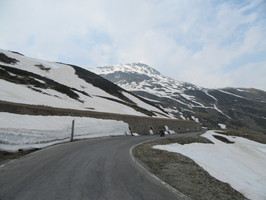 img-0785.jpg